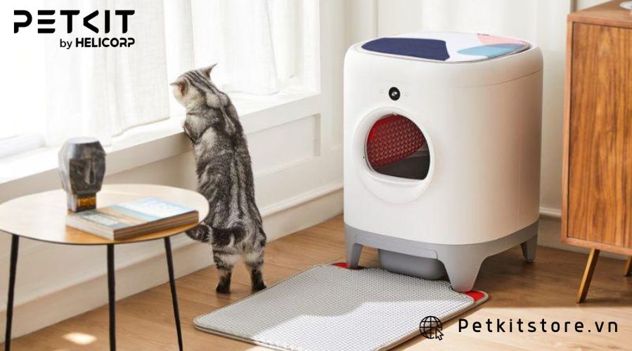 Máy vệ sinh cho mèo tích hợp công nghệ tiên tiến, nâng cao chất lượng cuộc sống cho mèo