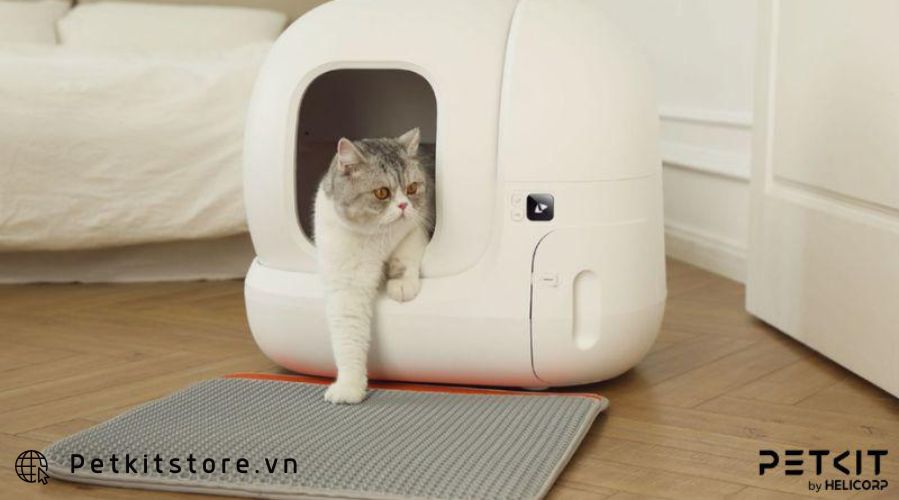 Dựa vào thiết kế, chế độ hoạt động, chức năng để chọn máy vệ sinh cho mèo tự động