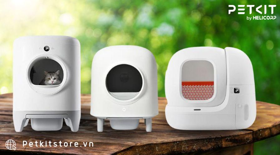 Hiểu được sự giống nhau và khác nhau giữa các dòng máy vệ sinh cho mèo để tìm ra loại phù hợp với mèo nhà bạn