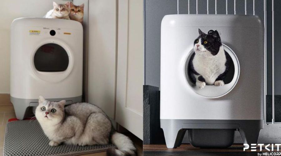 PETKIT PURA X NEW 2024