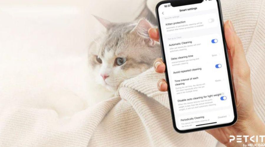Theo dõi lịch sử đi vệ sinh và cân nặng của mèo qua app PETKIT