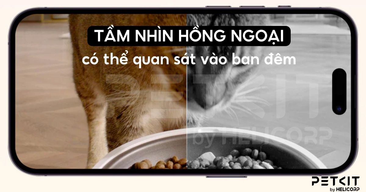 máy cho ăn tự động Petkit Solo YumShare