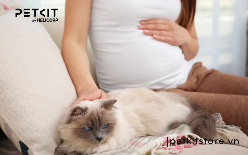 hít phải lông mèo thì phải làm sao