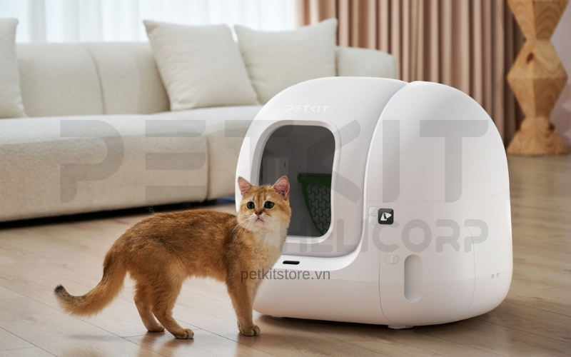 Máy dọn phân mèo Petkit Pura Max 2025