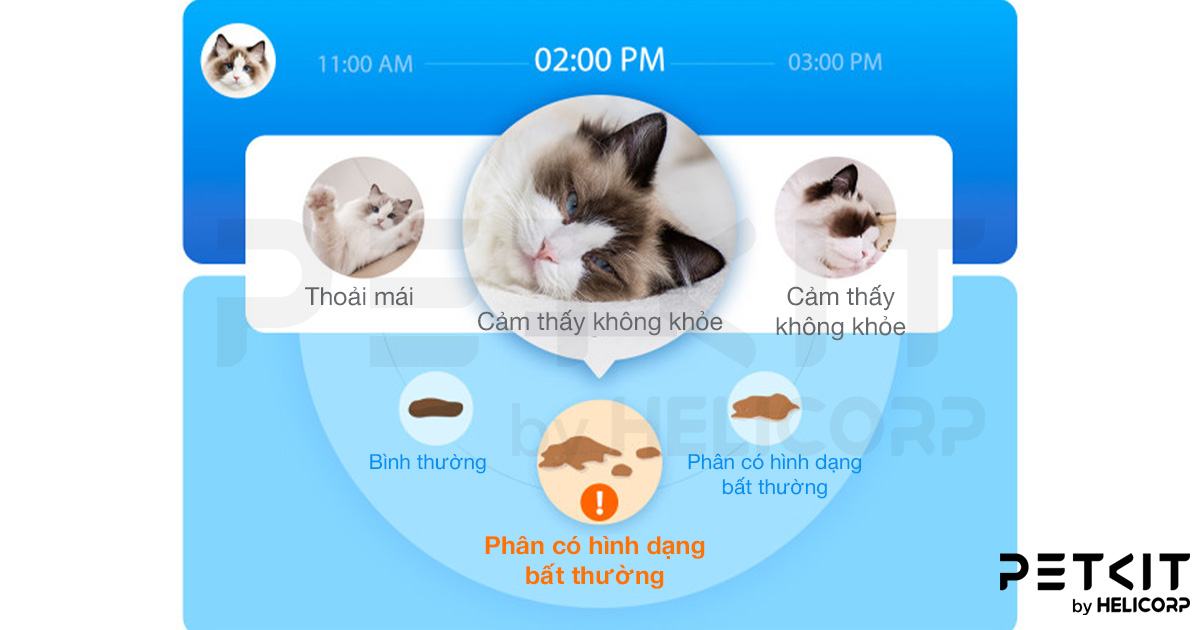 Giới thiệu PUROBOT ULTRA tại Hội Nghị Các Nhà Phân Phối Chiến Lược Của PETKIT Trên Toàn Cầu