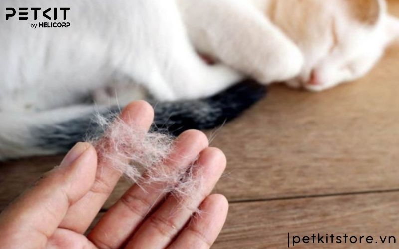 Lồng sấy lông chó mèo , máy sấy lông chó mèo