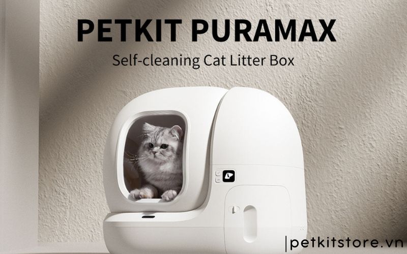 sửa máy dọn phân mèo Petkit