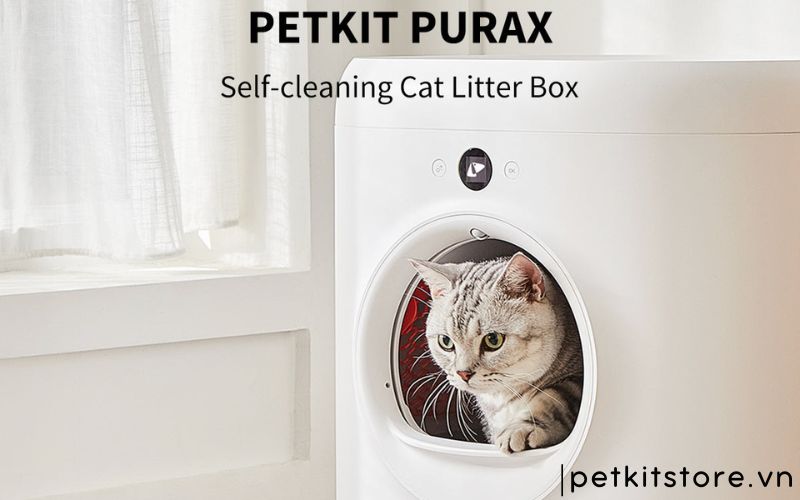 sửa máy dọn phân mèo Petkit