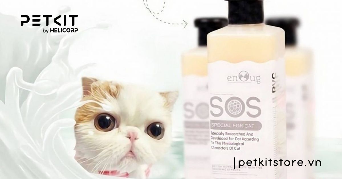 tắm cho mèo bằng nước rửa chén