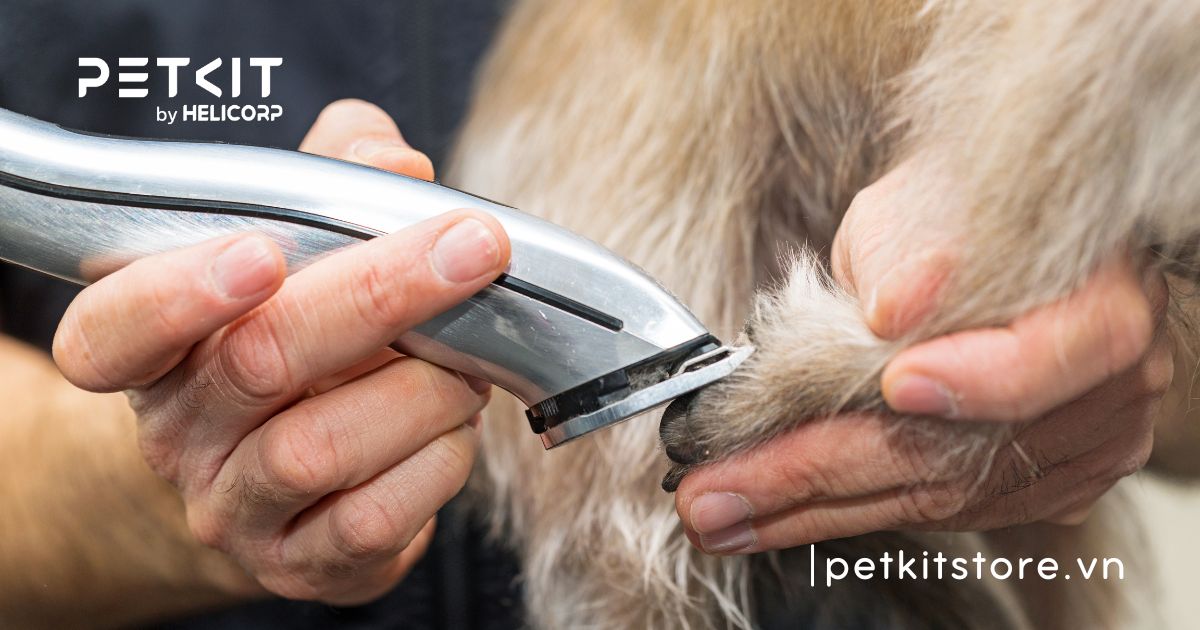 tông đơ cắt lông chó mèo loại nào tốt