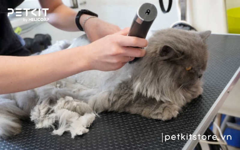 tông đơ cắt lông chó mèo
