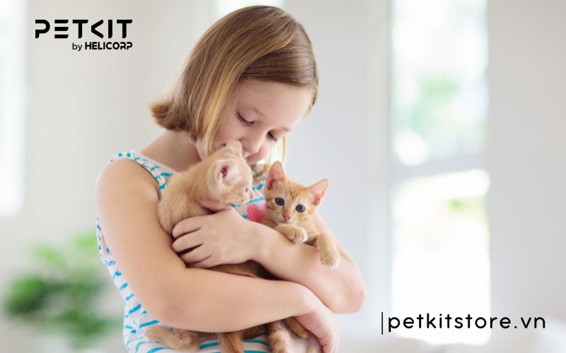 hít lông mèo có sao không