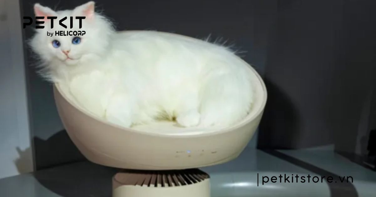 Sản phẩm AeroCatTower từ tập đoàn LG