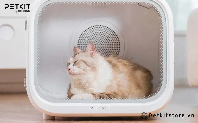 Sử dụng lồng sấy để quá trình sấy lông nhanh chóng hơn