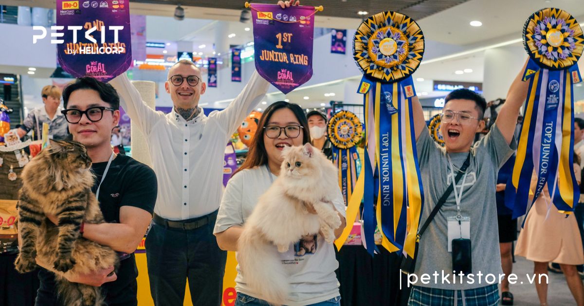WCF WORLD SHOW – Giải Vô Địch Mèo Toàn Cầu