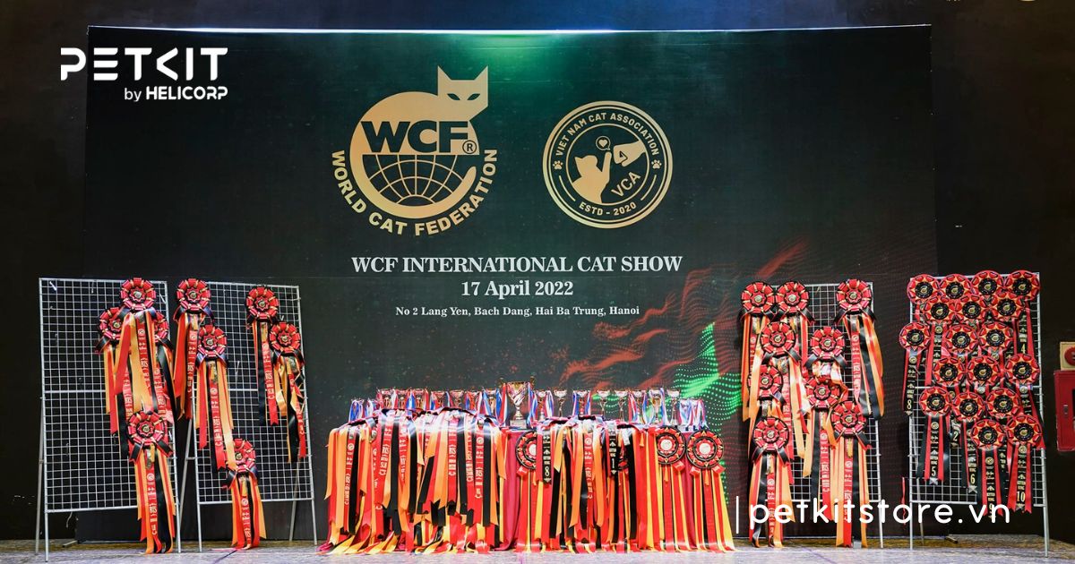 WCF WORLD SHOW – Giải Vô Địch Mèo Toàn Cầu