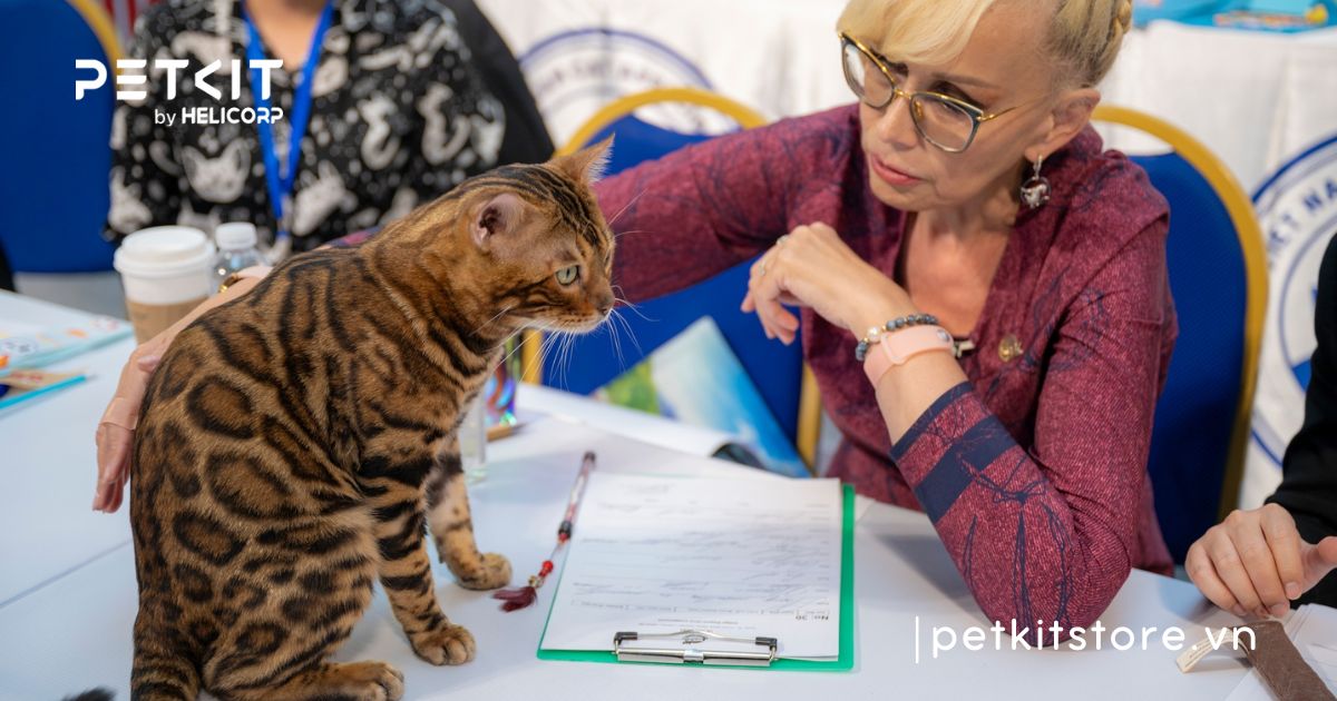 WCF WORLD SHOW – Giải Vô Địch Mèo Toàn Cầu