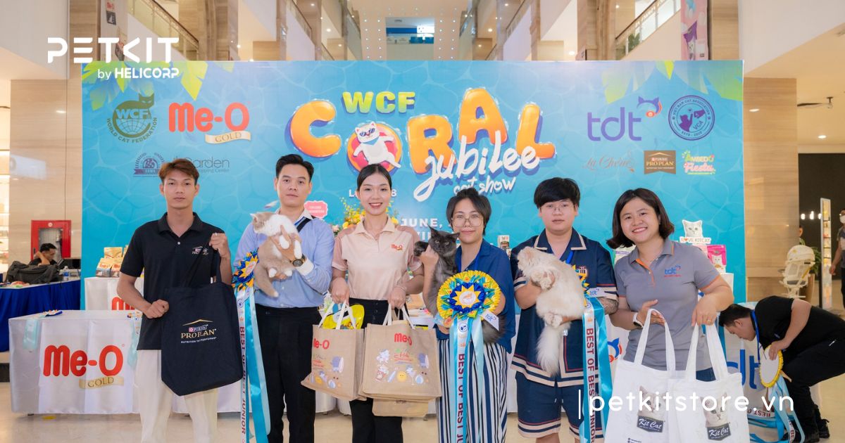 WCF WORLD SHOW – Giải Vô Địch Mèo Toàn Cầu
