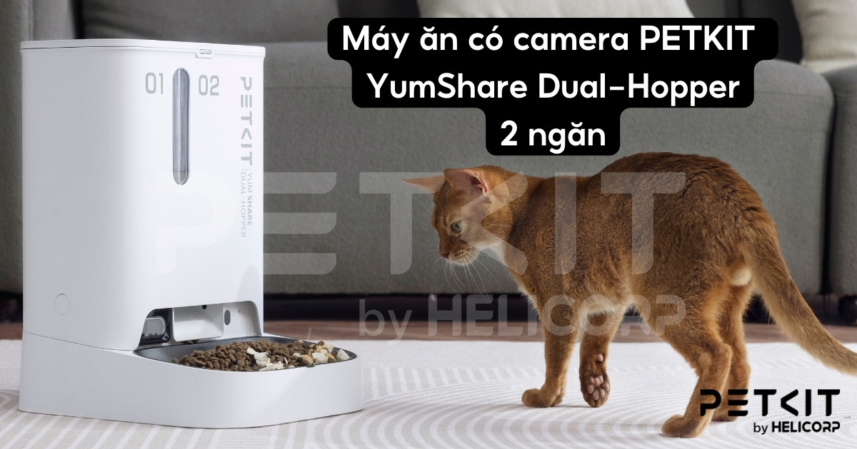 máy ăn PETKIT Gemini YumShare Dual-Hopper