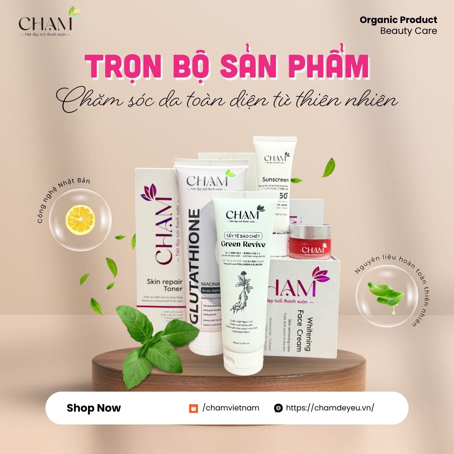 CHẠM liên tục cập nhật và đổi mới công nghệ sản xuất cũng như nghiên cứu thị trường