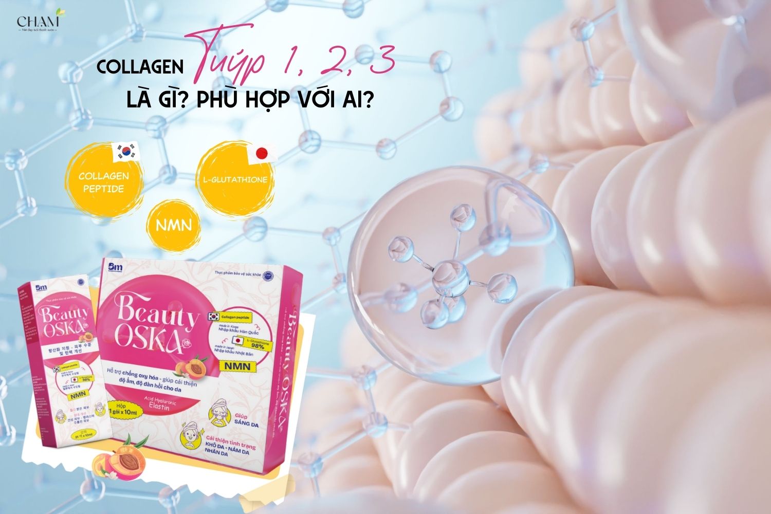 collagen tuýp 1 2 3 là gì và chúng có những đặc điểm, công dụng khác nhau như thế nào