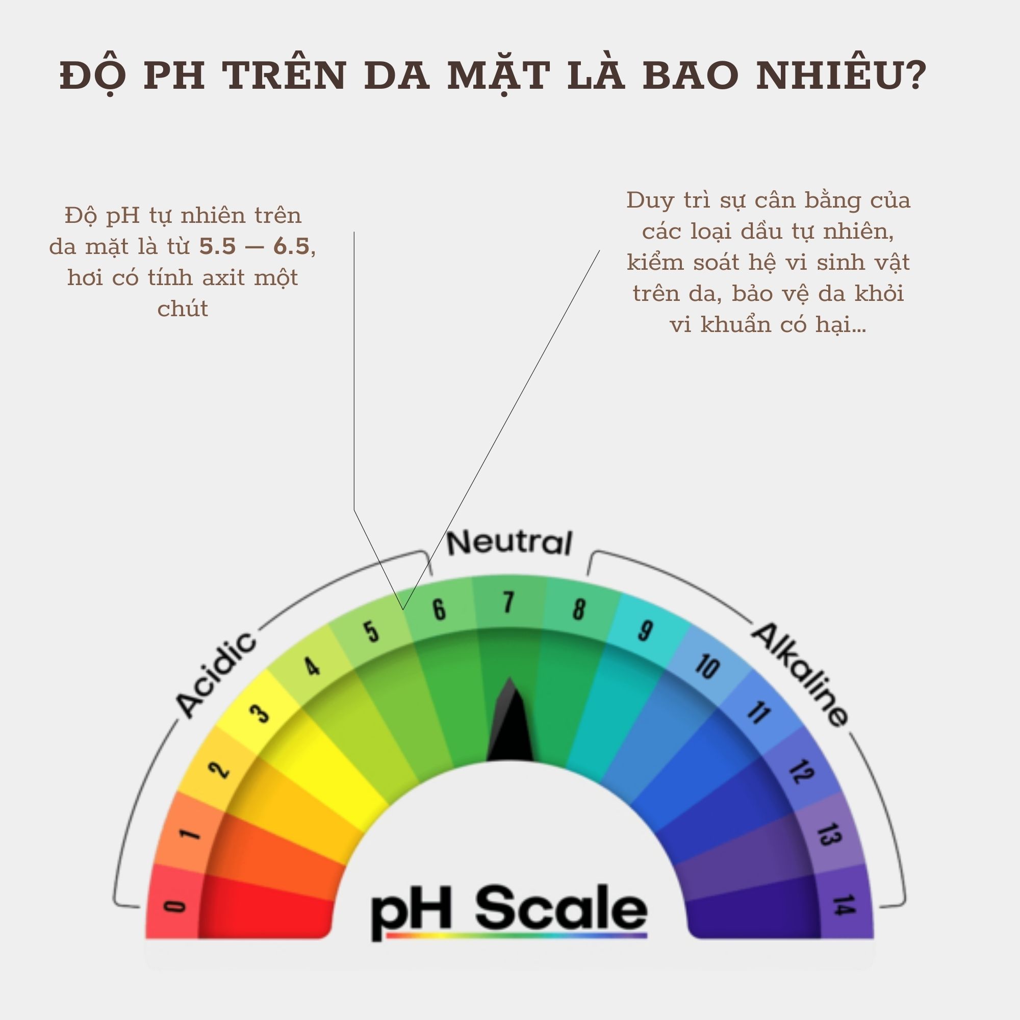 Hãy kiểm tra thông tin về độ pH trên nhãn sản phẩm để đảm bảo rằng nó phù hợp với làn da của bạn