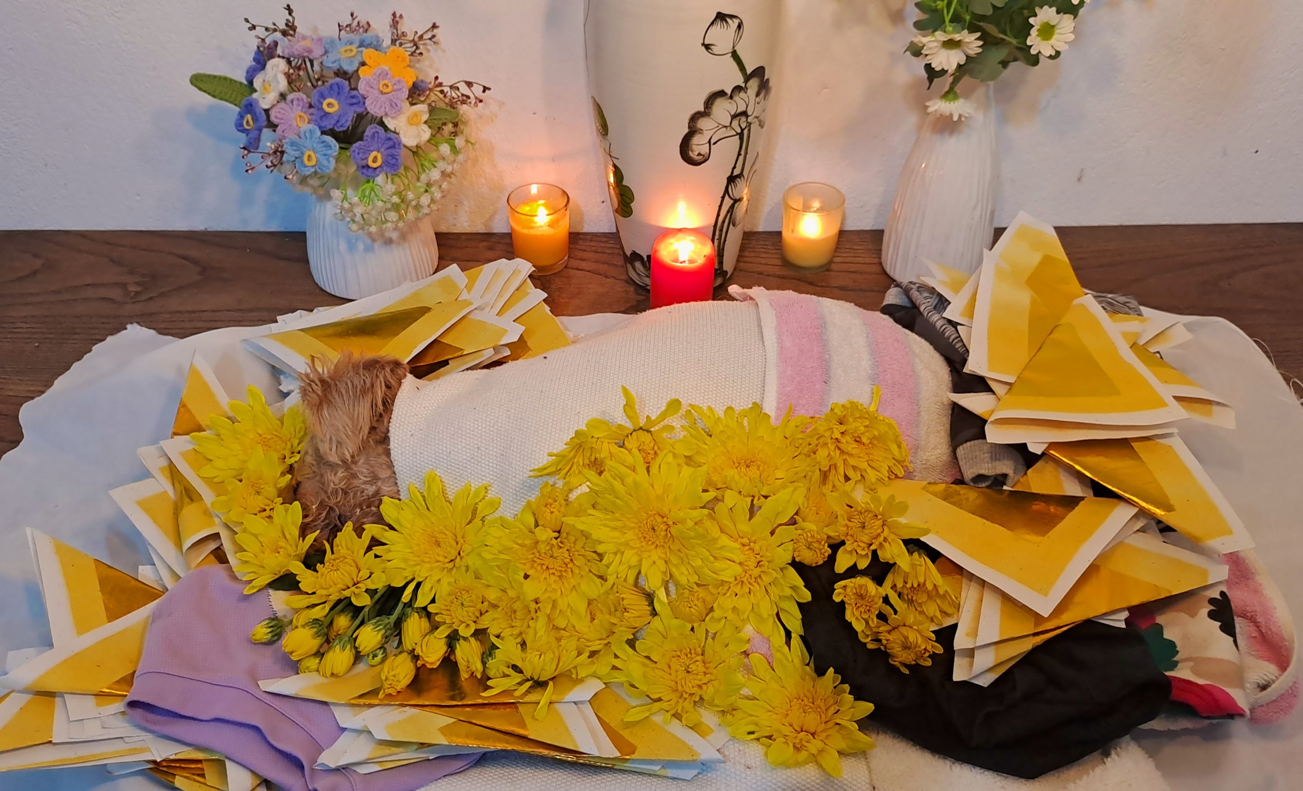 hỏa táng thú cưng