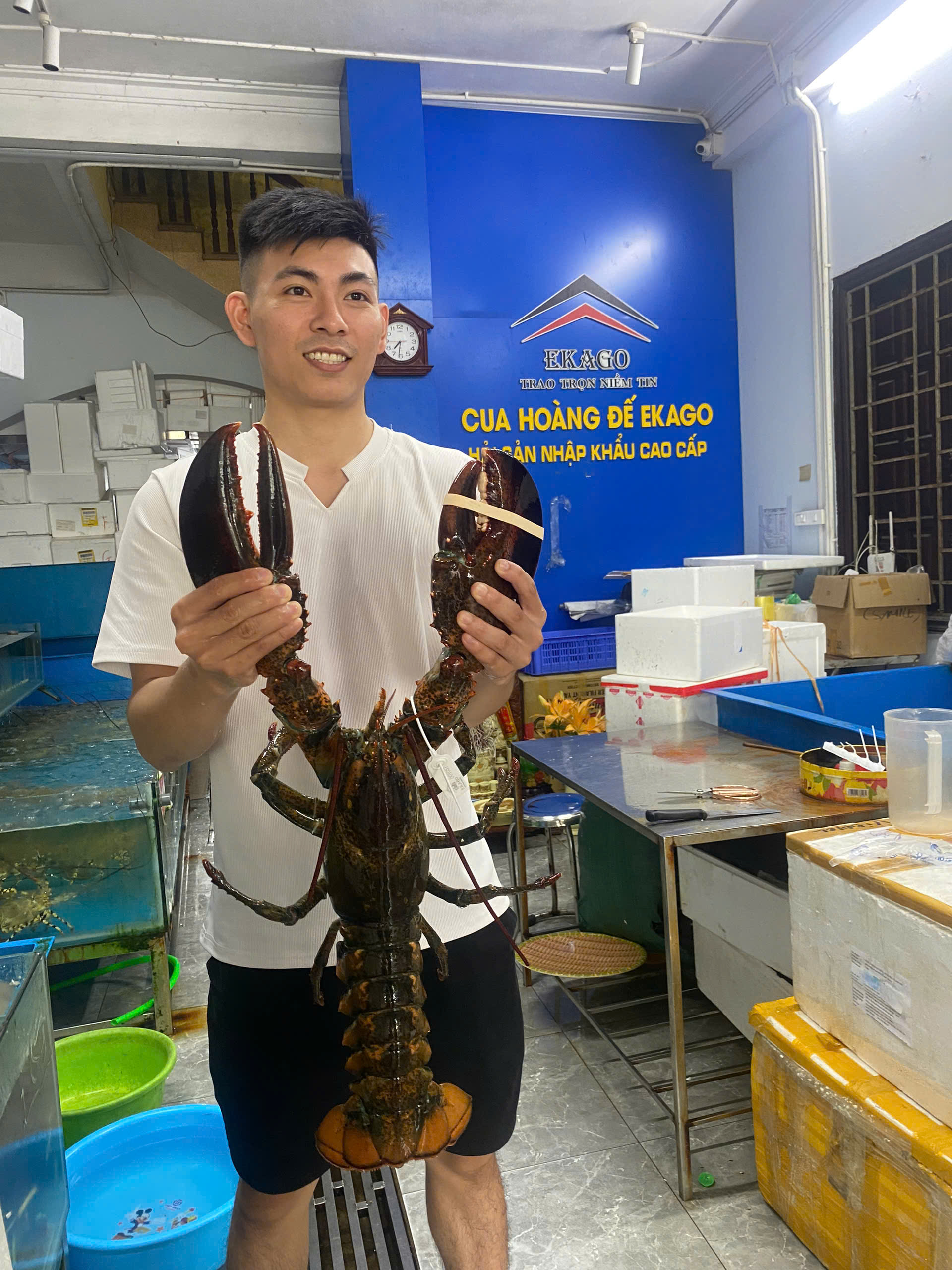 Tôm hùm Alaska giá bao nhiêu