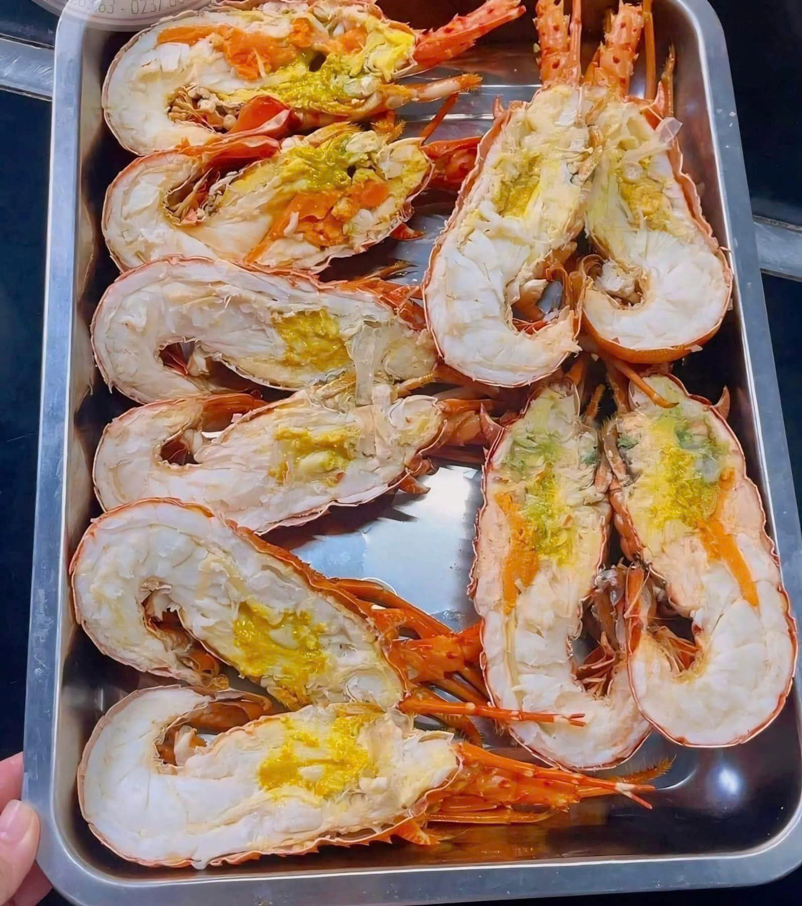 tôm hùm bông sống Ekago