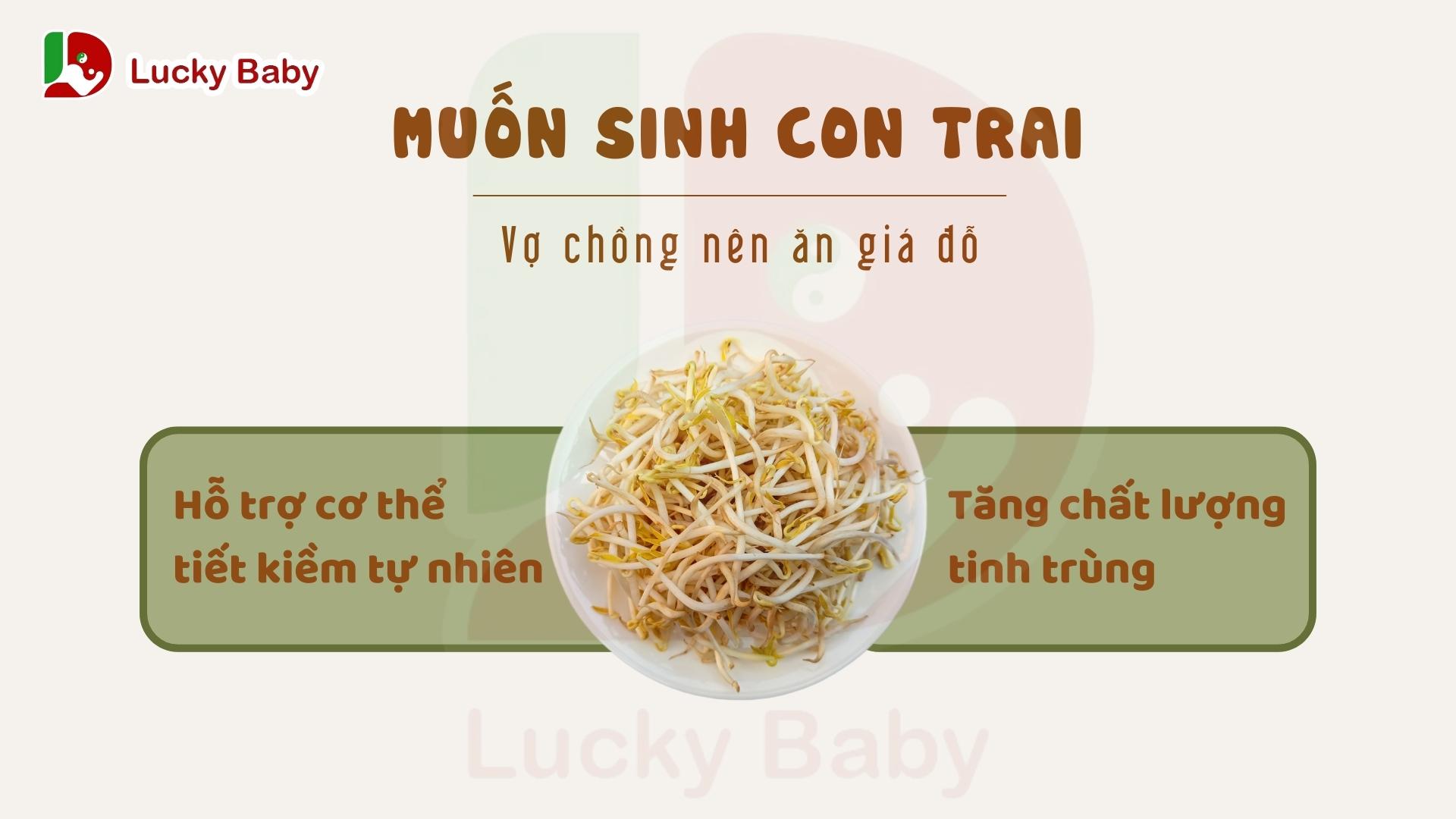 Muốn sinh con trai nên ăn giá đỗ