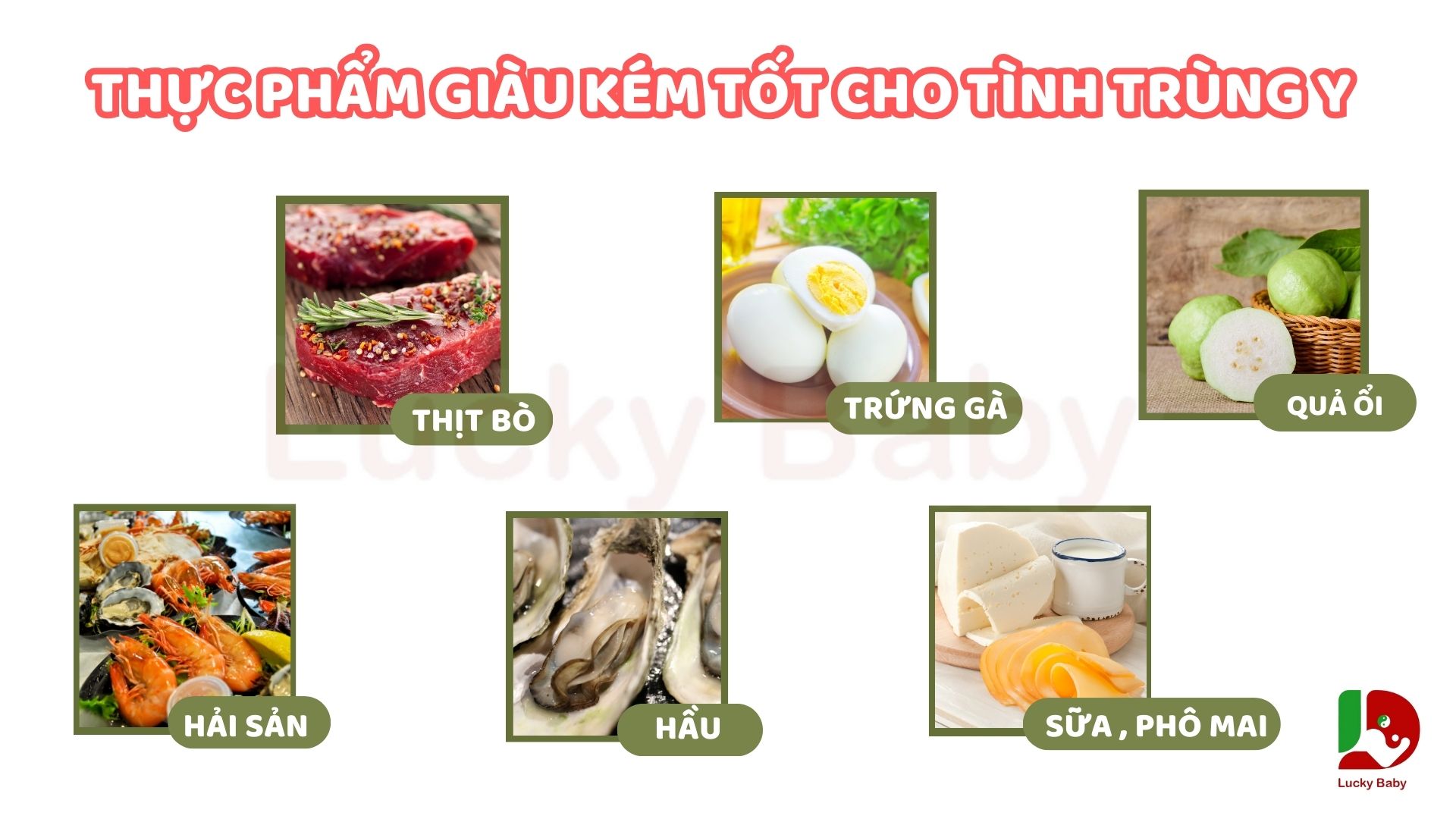 thực phẩm giàu kẽm tốt cho tinh trùng y