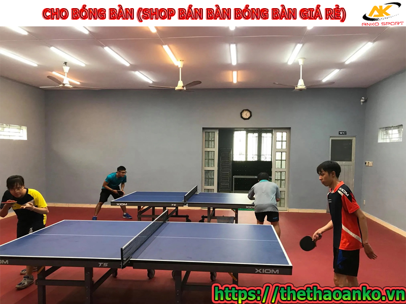 ban-bong-ban-gia-re-tai-da-nang-binh-dinh-phu-yen-khanh-hoa-ninh-thuan