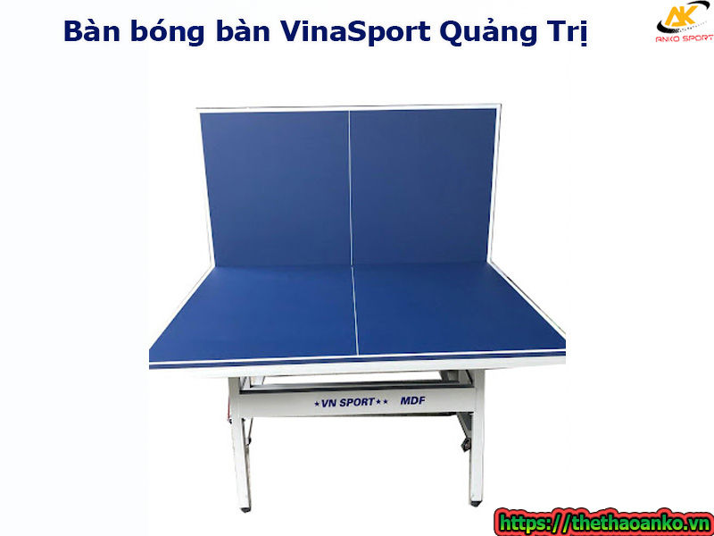 ban-bong-ban-vinasport-gia-re-tai-quang-tri