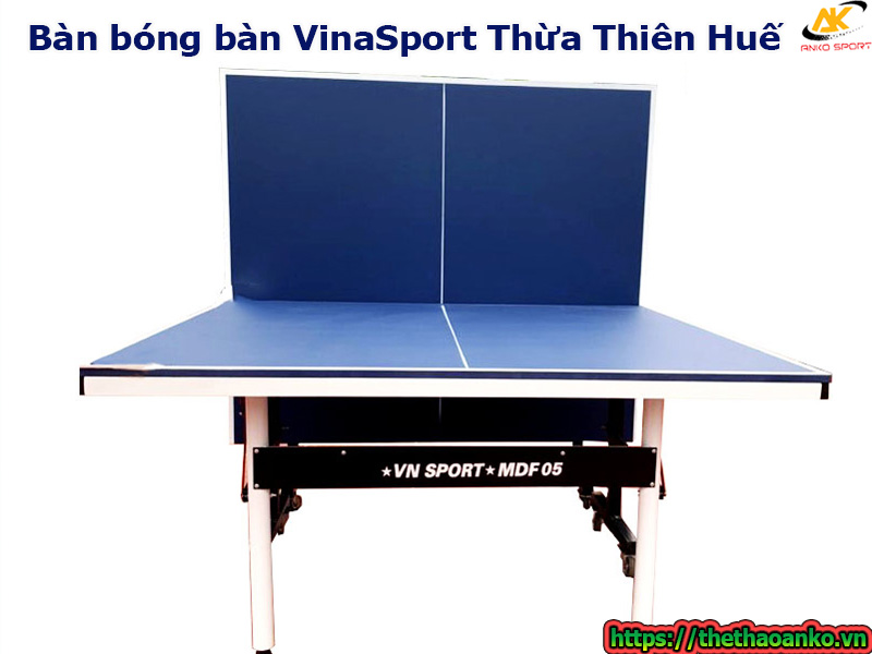 ban-bong-ban-vinasport-gia-re-tai-thua-thien-hue