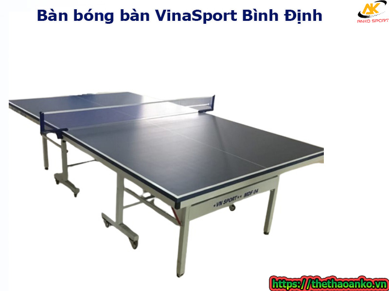 ban-bong-ban-vinasport-tai-binh-dinh