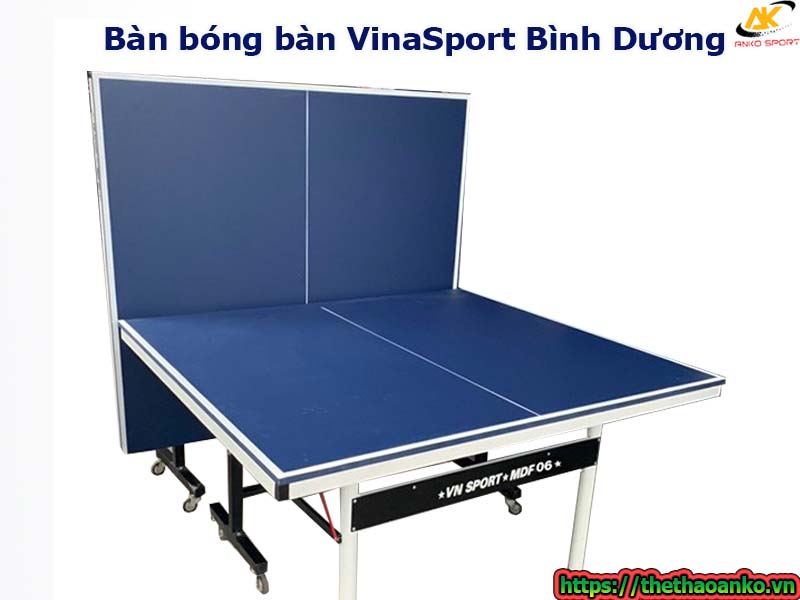 ban-bong-ban-vinasport-tai-binh-duong