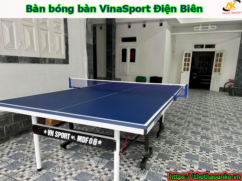 ban-bong-ban-vinasport-tai-dien-bien