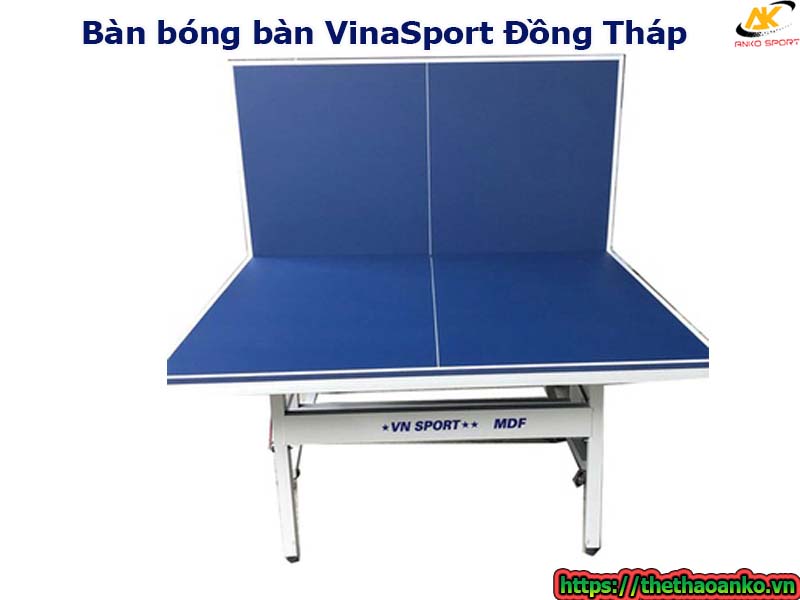 ban-bong-ban-vinasport-tai-dong-thap