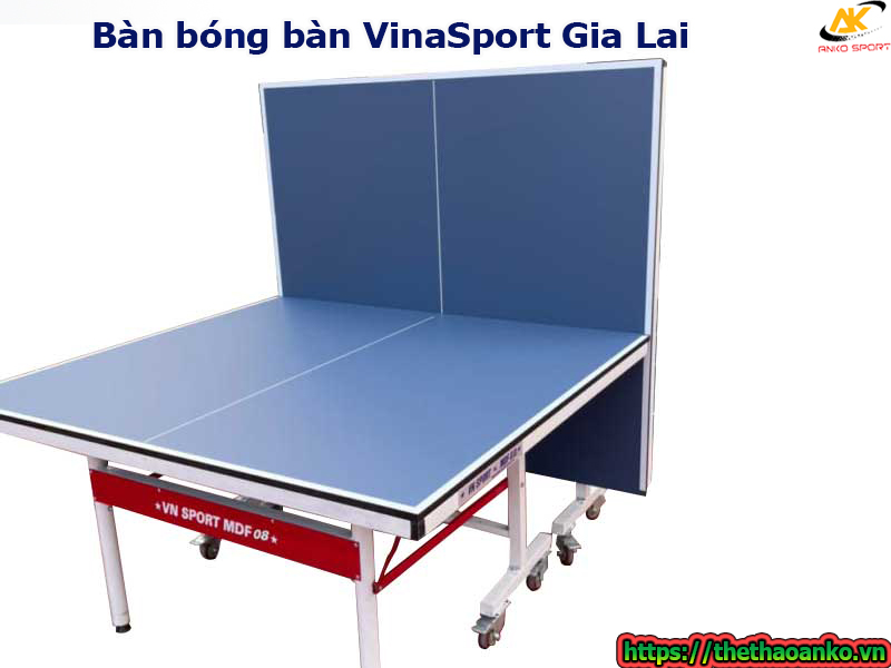 ban-bong-ban-vinasport-tai-gia-lai