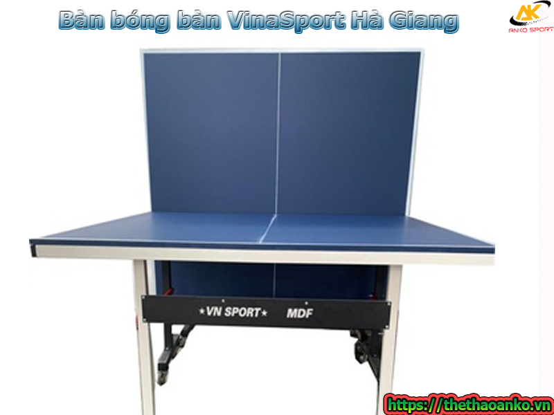 ban-bong-ban-vinasport-tai-ha-giang