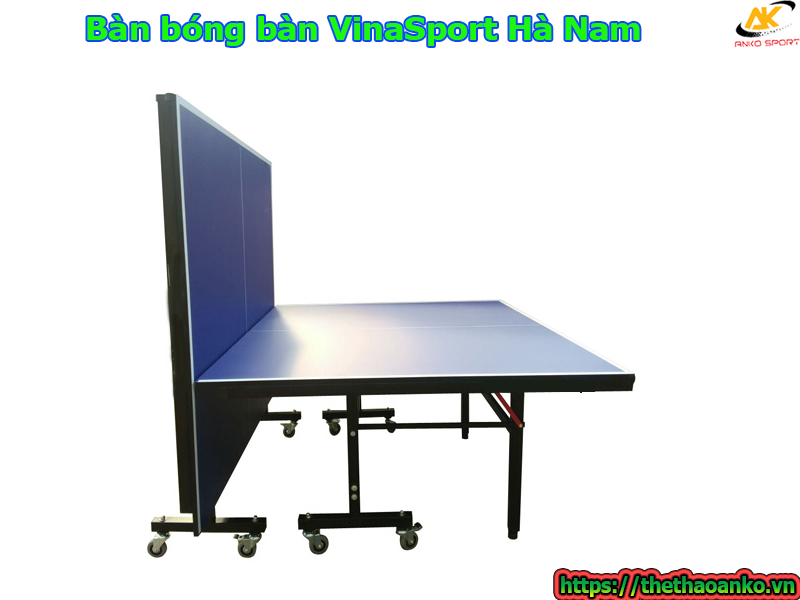 ban-bong-ban-vinasport-tai-ha-nam