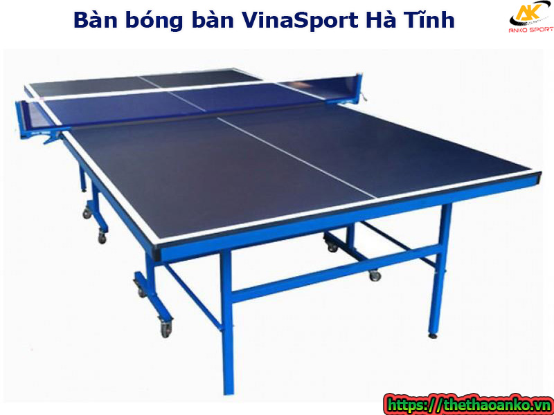 ban-bong-ban-vinasport-tai-ha-tinh