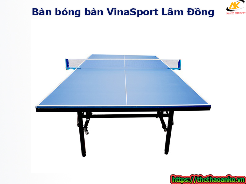 ban-bong-ban-vinasport-tai-lam-dong
