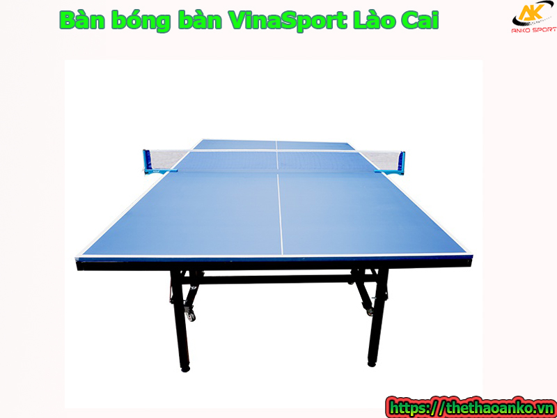 ban-bong-ban-vinasport-tai-lao-cai
