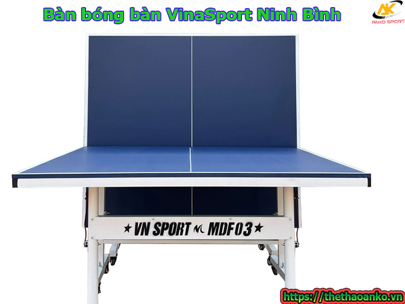 ban-bong-ban-vinasport-tai-ninh-binh