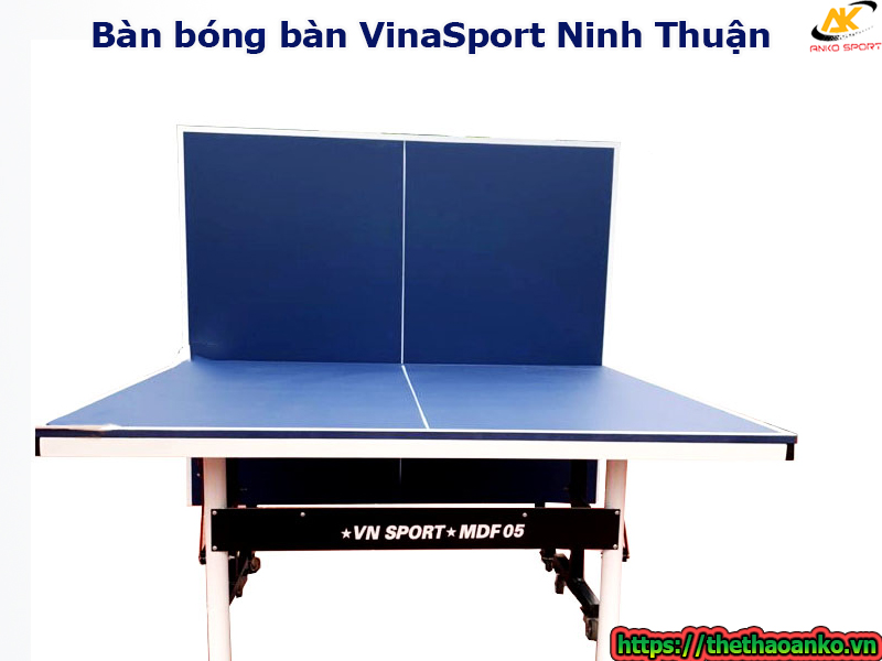 ban-bong-ban-vinasport-tai-ninh-thuan