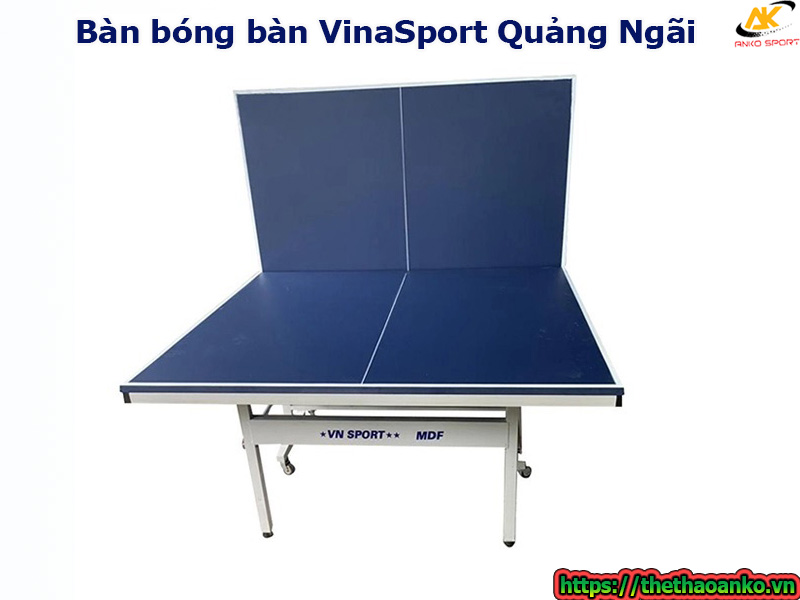 ban-bong-ban-vinasport-tai-quang-ngai