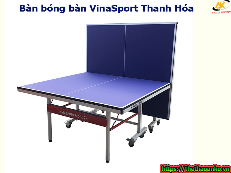 ban-bong-ban-vinasport-tai-thanh-hoa