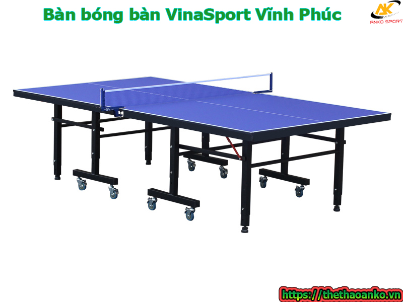 ban-bong-ban-vinasport-tai-vinh-phuc