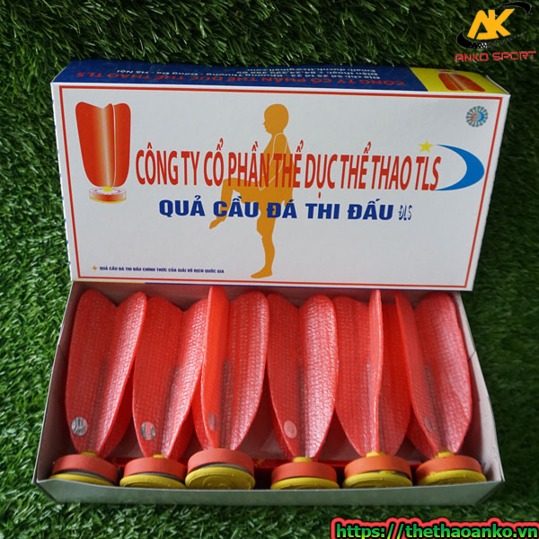 cau-da-thi-dau-quoc-te-TLS-tai-ha-giang